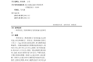 四氧化三铁纳米粒子及其制备方法和用途
