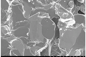 Ca3Co4O9/Bi2Ca2Co2Oy复合热电材料及其制备方法