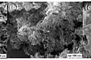 C<Sub>3</Sub>N<Sub>4</Sub>/LaVO<Sub>4</Sub>复合光催化剂及其制备方法