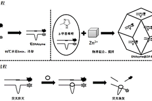 提高铅DNAzyme稳定性的固定化酶方法及应用