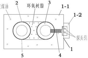 抗干扰型质子磁力仪探头