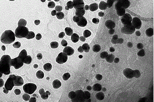 掺氮还原石墨烯-AuAg双金属纳米复合物的制备及其在电化学检测盐酸柔红霉素中的应用