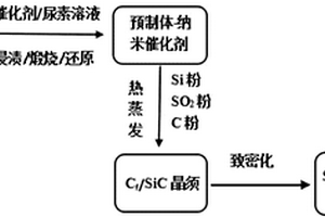 共沉淀与热蒸发技术原位合成锥状SiC晶须的制备方法
