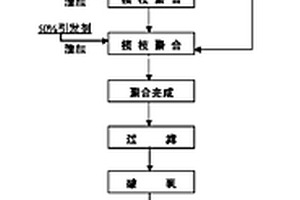 接枝纳米二氧化钛功能粒子的制备方法