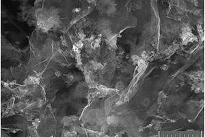 负载钴基催化剂的石墨烯气凝胶的制备方法及其应用