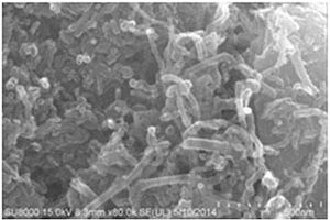 碳管改性二硫化钼锂离子电池负极材料的制备方法
