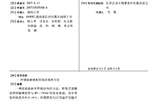 制备碳纳米管泡沫体的方法