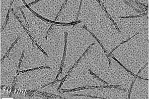 大豆分离蛋白功能化修饰单壁碳纳米管的方法