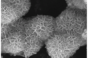 纳米花状CoIn<Sub>2</Sub>S<Sub>4</Sub>颗粒/石墨烯复合修饰的隔膜