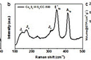 Co4S3-WS2析氧析氢电催化剂制备方法