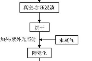 三维碳纤维预制体界面涂层制备方法