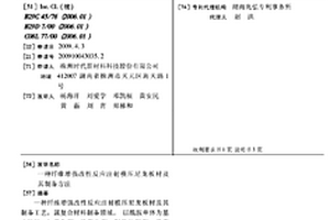 纤维增强改性反应注射模压尼龙板材及其制备方法