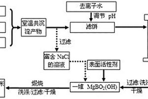 无孔高结晶硼酸镁纳米晶须的绿色水热合成方法