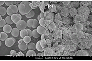 金属有机框架材料UiO-66包覆γ-Al<sub>2</sub>O<sub>3</sub>粒子及其制备方法