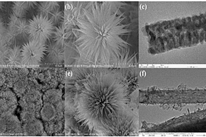 3D菊花状Z型Bi<sub>2</sub>S<sub>3</sub>@CoO异质结复合催化剂及其制备方法和应用