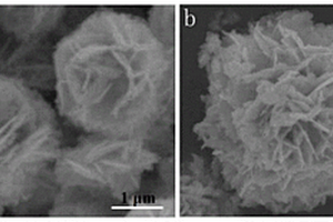 3D花状Bi<Sub>2</Sub>WO<Sub>6</Sub>@CoO异质结光催化剂及其制备方法和应用