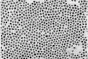 Au@Cu2-δX纳米晶体、其制备方法和应用