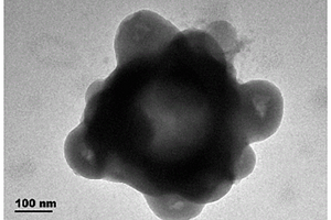 氮化硼量子点修饰纳米环状磁性氧化石墨烯复合光催化材料及其制备方法和应用