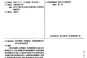 纳米掺稀土非氧基因—硅氧玻璃复合光放大材料制备技术