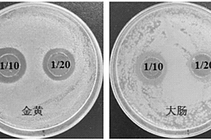 抗菌丝素蛋白材料及其制备方法