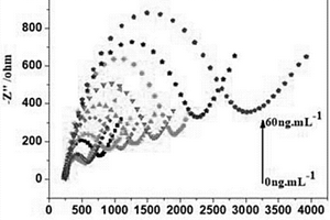 AFB<sub>1</sub>电化学免疫传感器及其制备方法及其用于黄曲霉素B<sub>1</sub>的检测