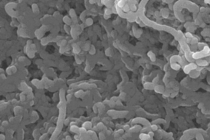 点击化学法制备酞菁-碳纳米管-聚噻吩复合光敏材料的方法