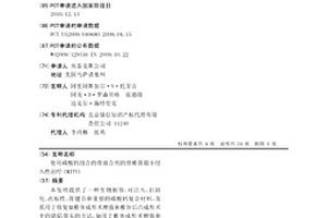 使用磷酸钙组合的骨接合剂的脊椎骨最小侵入性治疗(MITV)
