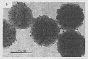 通过温敏性大分子单体两步法制备纳米金的方法
