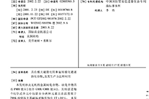 具有极大磁致电阻和旋转极化通道的化合物,及其生产方法和应用