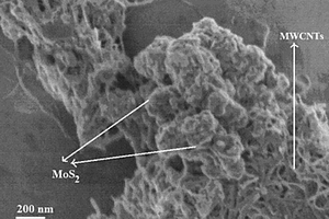 超级电容器电极材料硫化钼-多壁碳纳米管及其制备方法