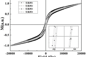 基于交换偏置同轴磁纳米电缆的制备方法