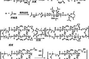 丙烯酸酯类木塑复合增容改性剂制备方法和应用