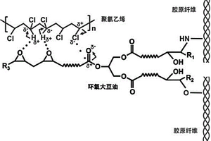 环氧大豆油改性胶原纤维及其制备方法和应用