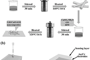 纳米气体传感器的制备方法