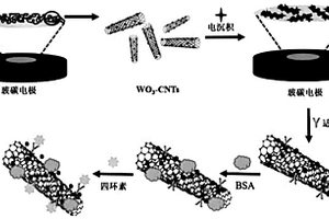 WO3-CNTs杂化材料的制备方法及其在四环素传感器中的应用