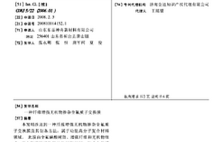 纤维增强无机物掺杂全氟质子交换膜
