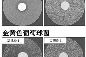 性能优异的接触抗菌材料及其制备方法