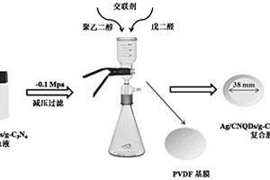 Ag/CNQDs/g-C3N4-PVDF可见光催化自清洁微滤膜的制备方法及用途