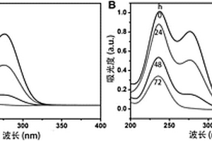 细菌钯纳米粒子复合物及其制备方法和应用