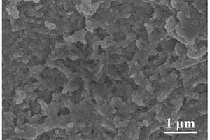 三维核壳结构CoS<sub>2</sub>/CoS<sub>2</sub>-NC催化电极材料及其制备方法和应用