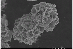 染料敏化太阳能电池用薄膜电极材料及其制备方法