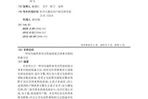 具有磁性和发光性能的复合纳米结构的制备方法