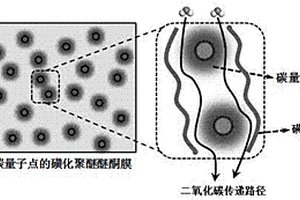 原位掺杂碳量子点的磺化聚醚醚酮混合基质膜及其制备方法和应用
