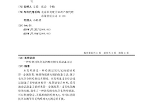 检测过氧化氢的酶电极及其制备方法