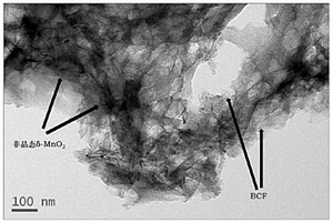 非晶态二氧化锰修饰虾壳碳基架的制备方法及应用