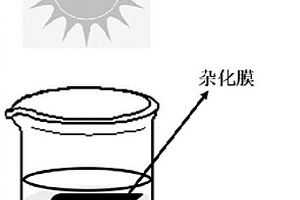 用于太阳能海水淡化的杂化膜及其制备方法和应用