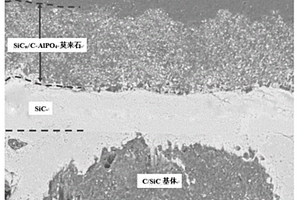 SiC晶须与C-AlPO<sub>4</sub>粉末协同改性莫来石涂层的制备方法