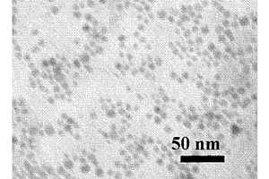 磁性氧化铁纳米粒子的表面修饰方法