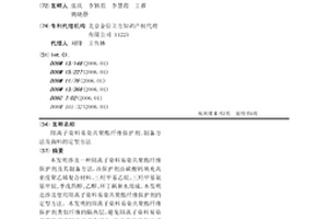 阳离子染料易染共聚酯纤维保护剂、制备方法及面料的定型方法