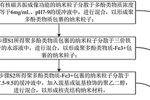 核壳结构纳米材料、其制备方法及应用
